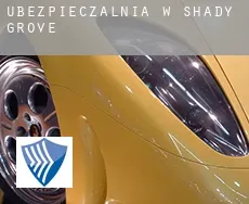 Ubezpieczalnia w  Shady Grove