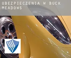 Ubezpieczenia w  Buck Meadows