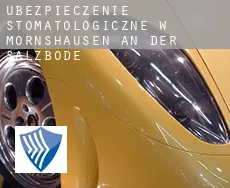 Ubezpieczenie stomatologiczne w  Mornshausen an der Salzböde