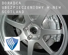 Doradca ubezpieczeniowy w  New Scotland