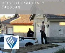 Ubezpieczalnia w  Cadogan