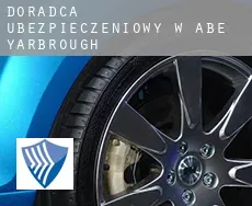 Doradca ubezpieczeniowy w  Abe Yarbrough