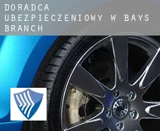 Doradca ubezpieczeniowy w  Bays Branch