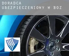 Doradca ubezpieczeniowy w  Boz