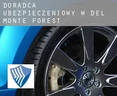 Doradca ubezpieczeniowy w  Del Monte Forest