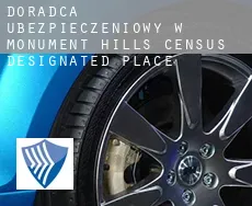 Doradca ubezpieczeniowy w  Monument Hills