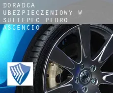 Doradca ubezpieczeniowy w  Sultepec de Pedro Ascencio de Alquisiras