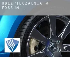 Ubezpieczalnia w  Fossum
