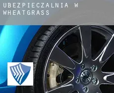 Ubezpieczalnia w  Wheatgrass