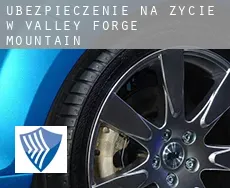 Ubezpieczenie na życie w  Valley Forge Mountain