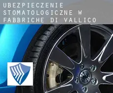 Ubezpieczenie stomatologiczne w  Fabbriche di Vallico