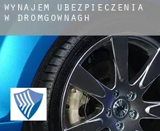 Wynajem ubezpieczenia w  Dromgownagh