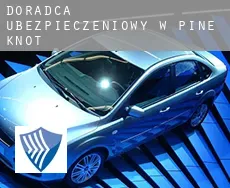 Doradca ubezpieczeniowy w  Pine Knot