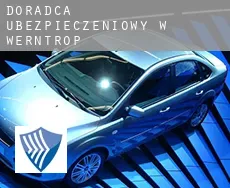 Doradca ubezpieczeniowy w  Werntrop