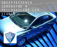 Ubezpieczenia zdrowotne w Pellouailles-les-Vignes