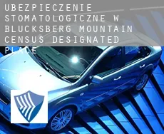Ubezpieczenie stomatologiczne w  Blucksberg Mountain