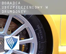 Doradca ubezpieczeniowy w  Drumdoney