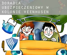 Doradca ubezpieczeniowy w  Kolonie Veenhusen