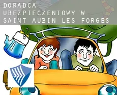 Doradca ubezpieczeniowy w Saint-Aubin-les-Forges