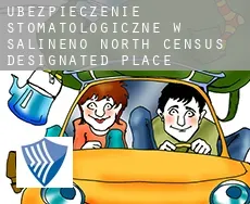 Ubezpieczenie stomatologiczne w Salineno North