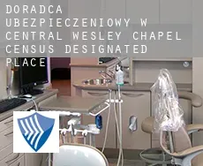 Doradca ubezpieczeniowy w  Central Wesley Chapel