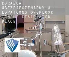 Doradca ubezpieczeniowy w  Lopatcong Overlook