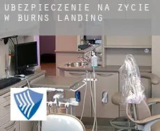 Ubezpieczenie na życie w  Burns Landing