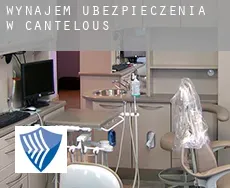 Wynajem ubezpieczenia w  Cantelous