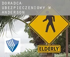 Doradca ubezpieczeniowy w  Anderson