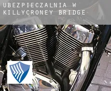 Ubezpieczalnia w  Killycroney Bridge