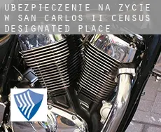 Ubezpieczenie na życie w  San Carlos II