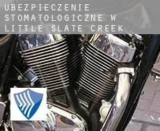 Ubezpieczenie stomatologiczne w  Little Slate Creek