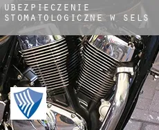 Ubezpieczenie stomatologiczne w Sels