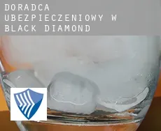 Doradca ubezpieczeniowy w  Black Diamond