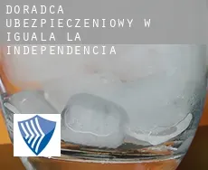 Doradca ubezpieczeniowy w  Iguala de la Independencia