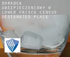 Doradca ubezpieczeniowy w  Lower Frisco
