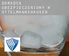 Doradca ubezpieczeniowy w  Ottelmannshausen