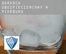 Doradca ubezpieczeniowy w  Pierburg