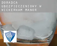 Doradca ubezpieczeniowy w  Wickerham Manor