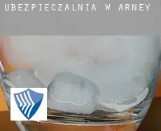 Ubezpieczalnia w  Arney