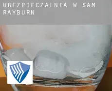 Ubezpieczalnia w  Sam Rayburn