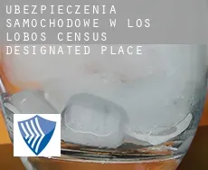 Ubezpieczenia samochodowe w  Los Lobos