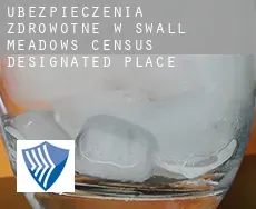 Ubezpieczenia zdrowotne w  Swall Meadows