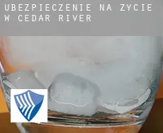 Ubezpieczenie na życie w  Cedar River