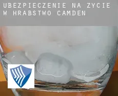 Ubezpieczenie na życie w  Hrabstwo Camden