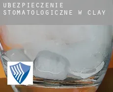 Ubezpieczenie stomatologiczne w  Clay