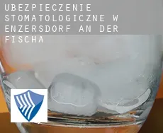 Ubezpieczenie stomatologiczne w  Enzersdorf an der Fischa