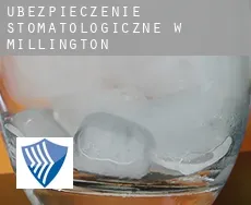 Ubezpieczenie stomatologiczne w  Millington