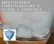 Ubezpieczenie stomatologiczne w  Tejeda y Segoyuela