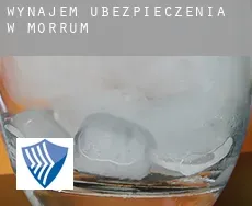 Wynajem ubezpieczenia w Mörrum